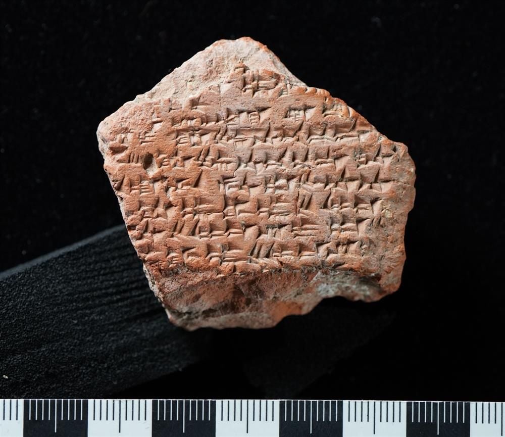 🇮🇹 Testo alternativo
Frammento di tavoletta in argilla con numerosi segni di scrittura cuneiforme incisi sulla superficie. Il reperto, di colore rossastro e dai bordi irregolari, è fotografato su uno sfondo nero accanto a una scala metrica.