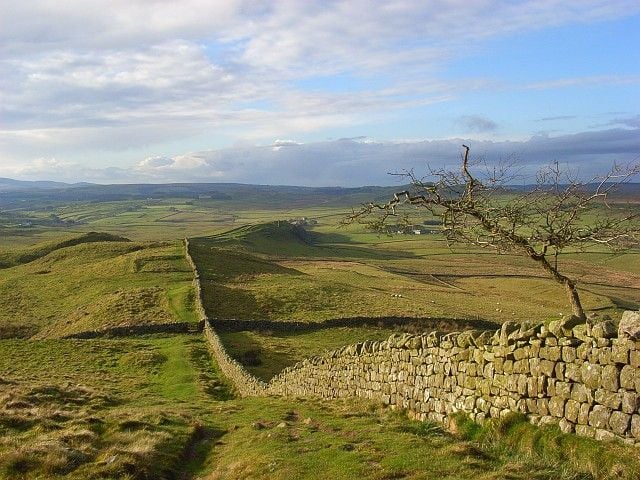 Paesaggio lungo il Vallo di Adriano, con un muro in pietra che attraversa un’ampia distesa di prati e colline. In primo piano si trova un albero spoglio, mentre sullo sfondo si estendono campi e rilievi sotto un cielo parzialmente nuvoloso.