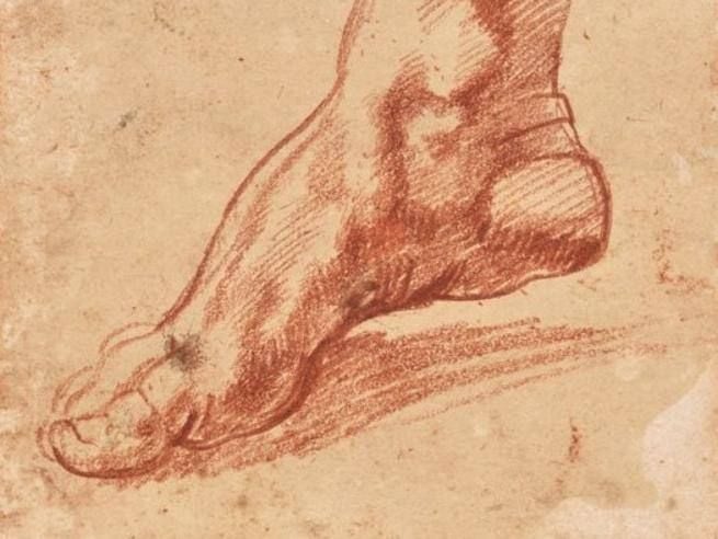 Illustrazione anatomica d’epoca raffigurante un piede e la parte inferiore della gamba, rappresentati di profilo e appoggiati a una superficie. Il disegno è realizzato a tratto in tonalità marrone su carta color crema.