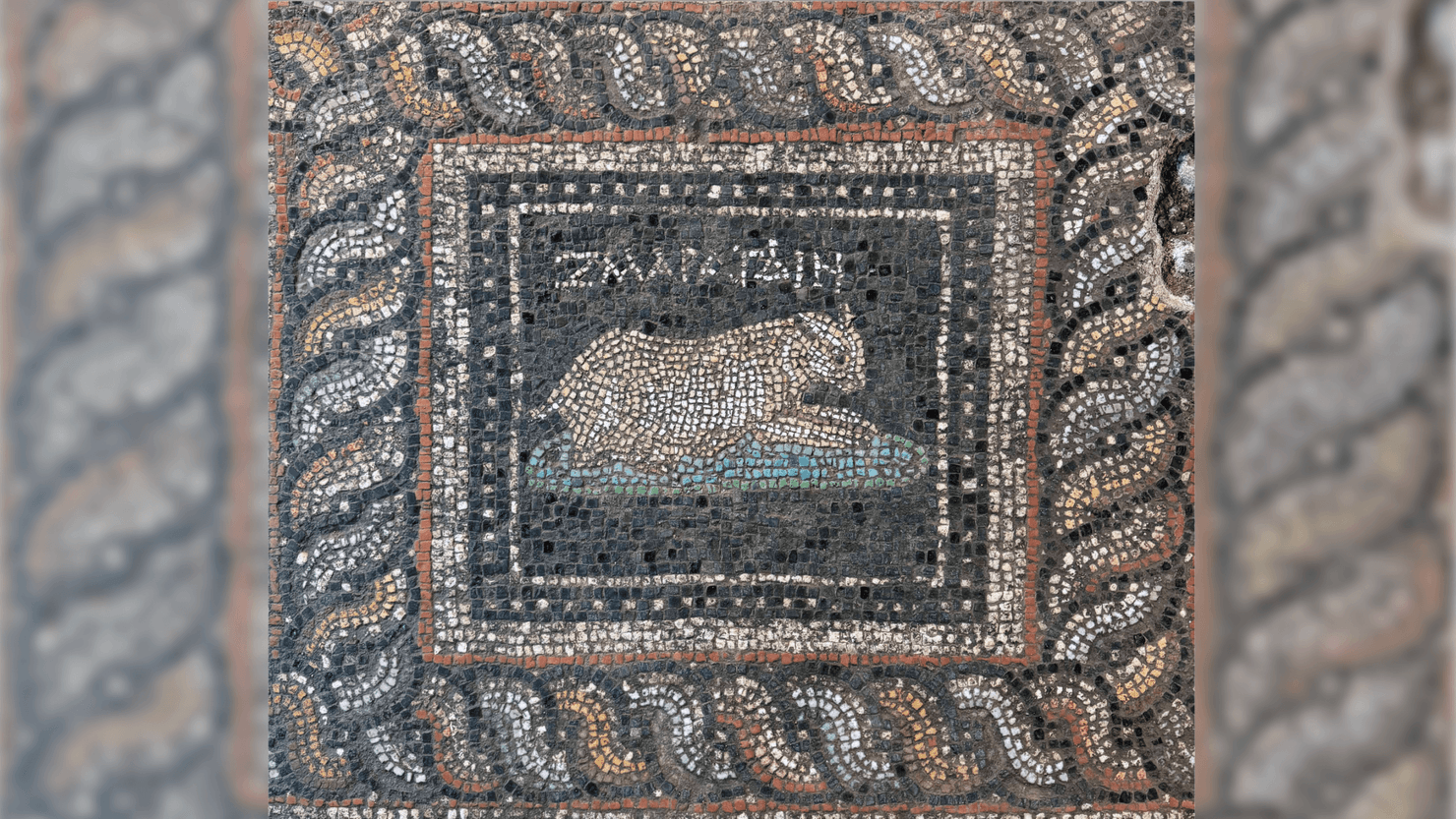 a panel from a multicolored Roman floor mosaic depicting a cat named Emerald