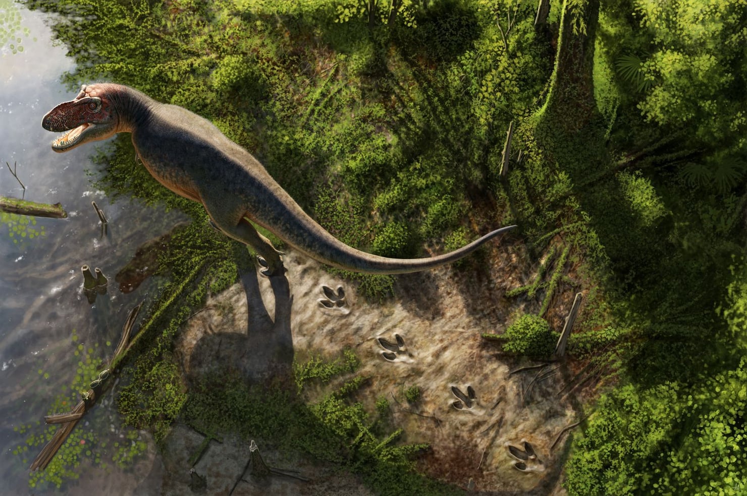 Ricostruzione digitale di un dinosauro in un ambiente preistorico ricco di vegetazione. L’animale si trova accanto a uno specchio d’acqua e lascia una serie di impronte sul terreno fangoso.