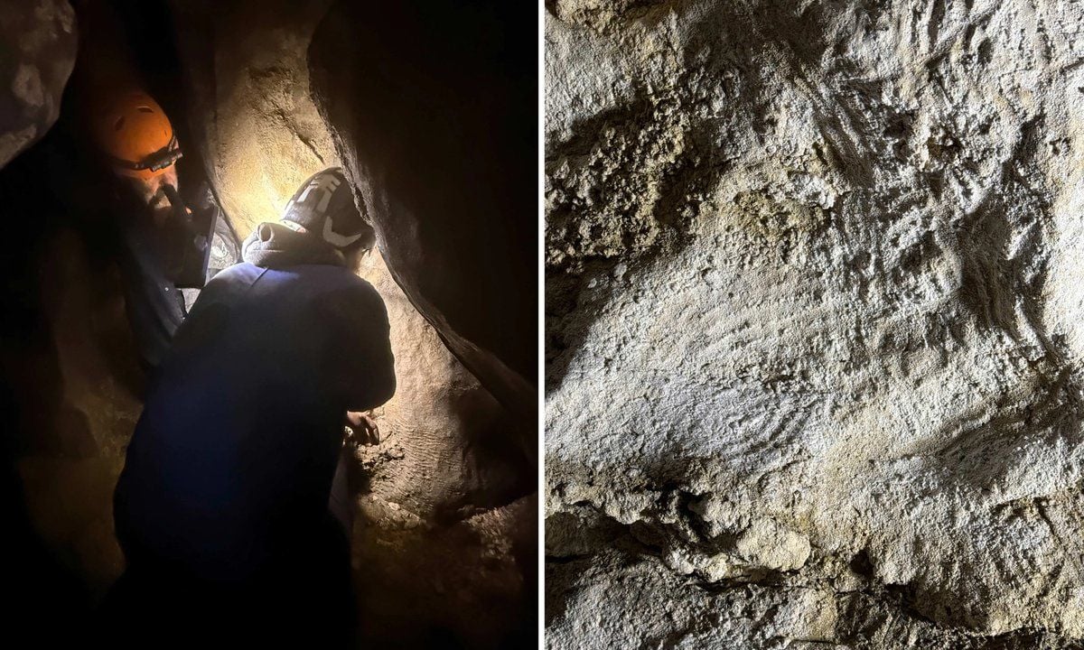 Fotografia d'apertura dell'articolo: la redazione non l'ha ancora descritta.