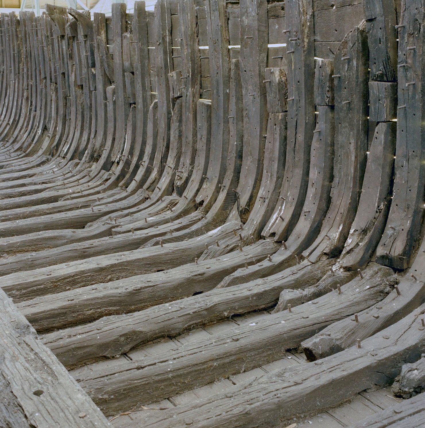 Primo piano della struttura lignea di un’antica imbarcazione, con una successione di costole curve e assi verticali in legno scuro. Sono visibili chiodi e altri elementi metallici utilizzati per unire le diverse parti dello scafo.